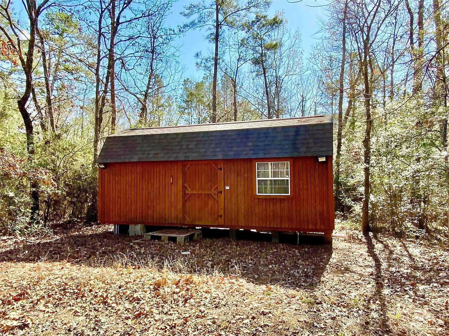 837 Brackenridge Livingston, TX 77351 - Thumbnail 5