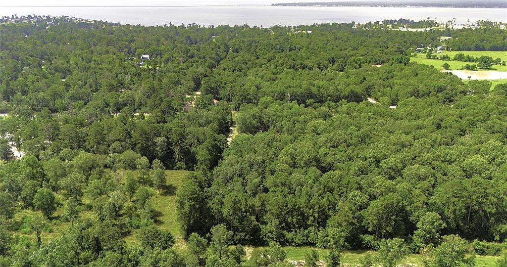 387 Hackberry Dr Onalaska, TX 77360 - Thumbnail 5