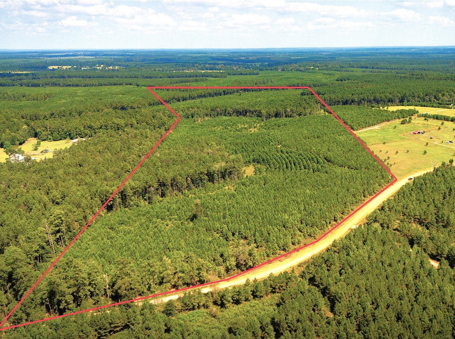 Stutts Hill Rd LOT 1 Livingston, TX 77351 - Thumbnail 5