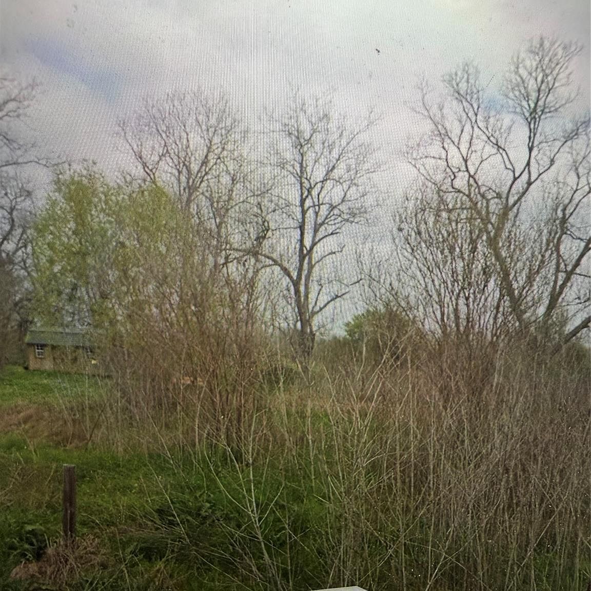 3221 Blackshear St Wharton, TX 77488 - Thumbnail 5