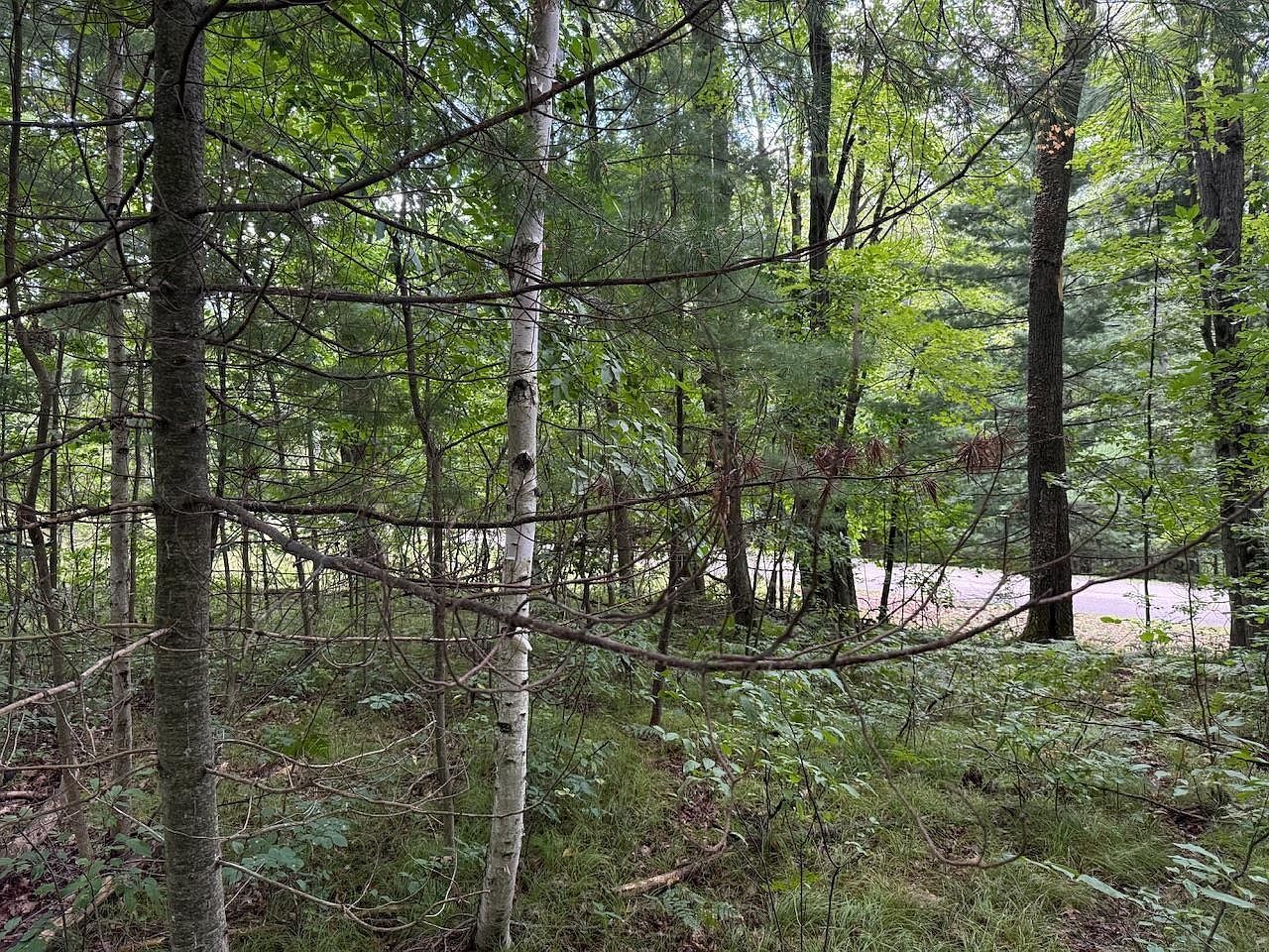 5 Hawthorn St Harrison, MI 48625 - Thumbnail 5