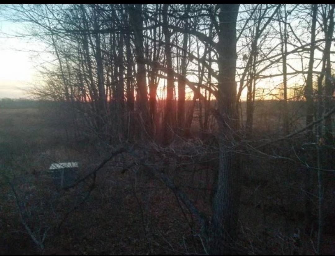 624 E McKimmey Rd Gladwin, MI 48624 - Thumbnail 5