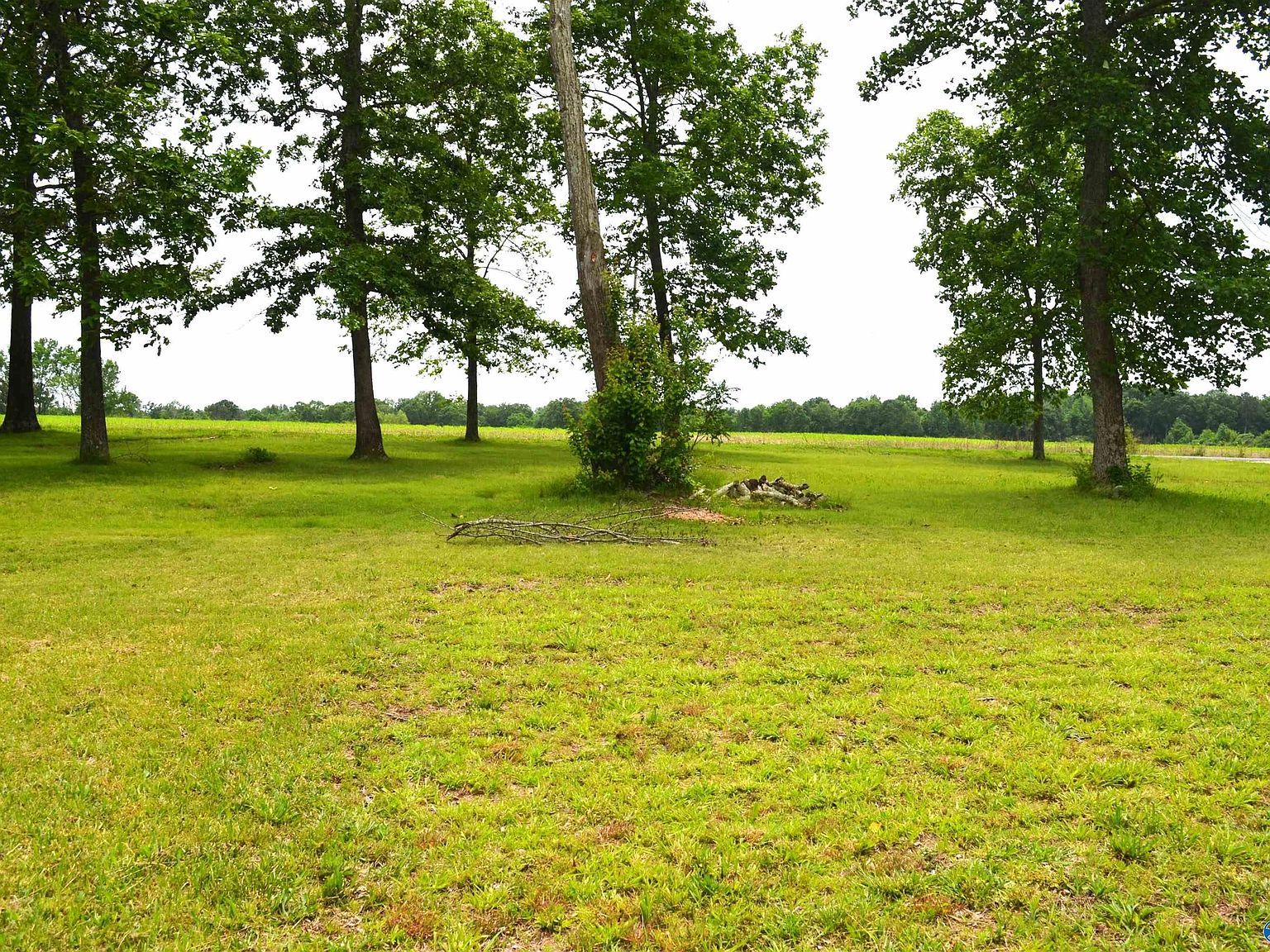 3585 County Road 395 Dutton, AL 35744 - Thumbnail 5