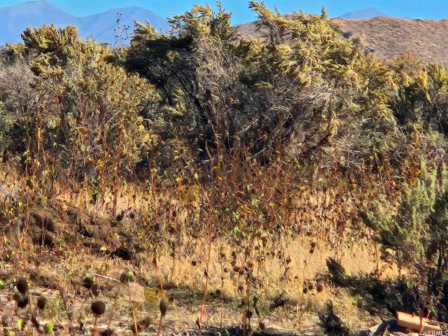 0 Saratoga Springs, UT 84045 - Thumbnail 5