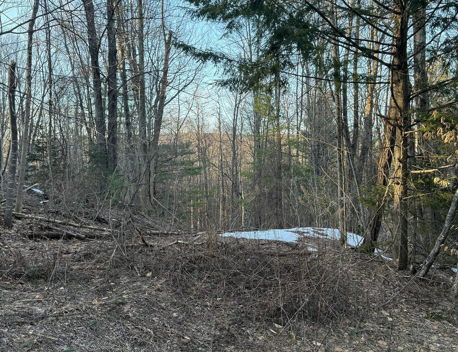 132 Wesskum Woods Rd Gloversville, NY 12078 - Thumbnail 5