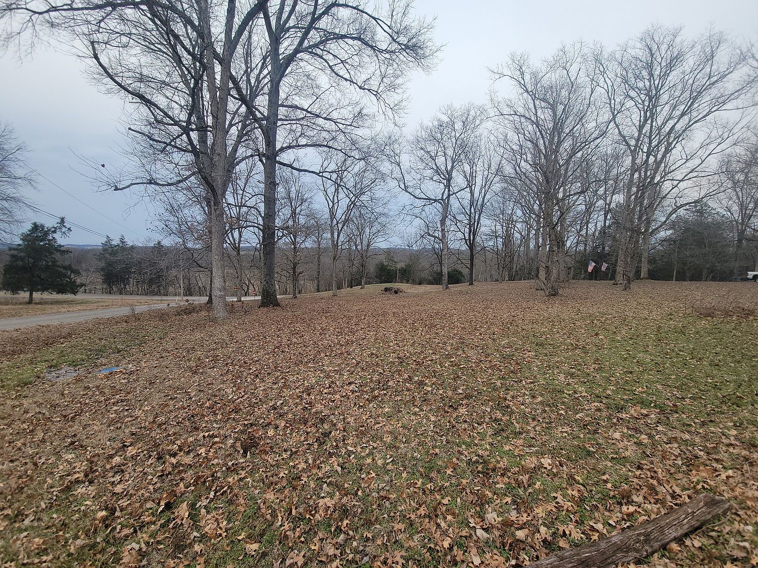 171 Trinity Hill Rd Pulaski, TN 38478 - Thumbnail 5