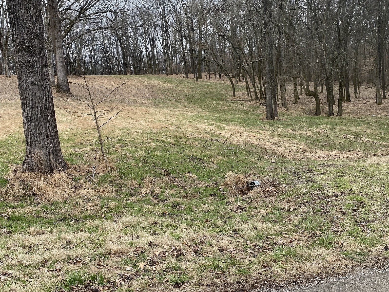 883 Scenic Dr Pulaski, TN 38478 - Thumbnail 5