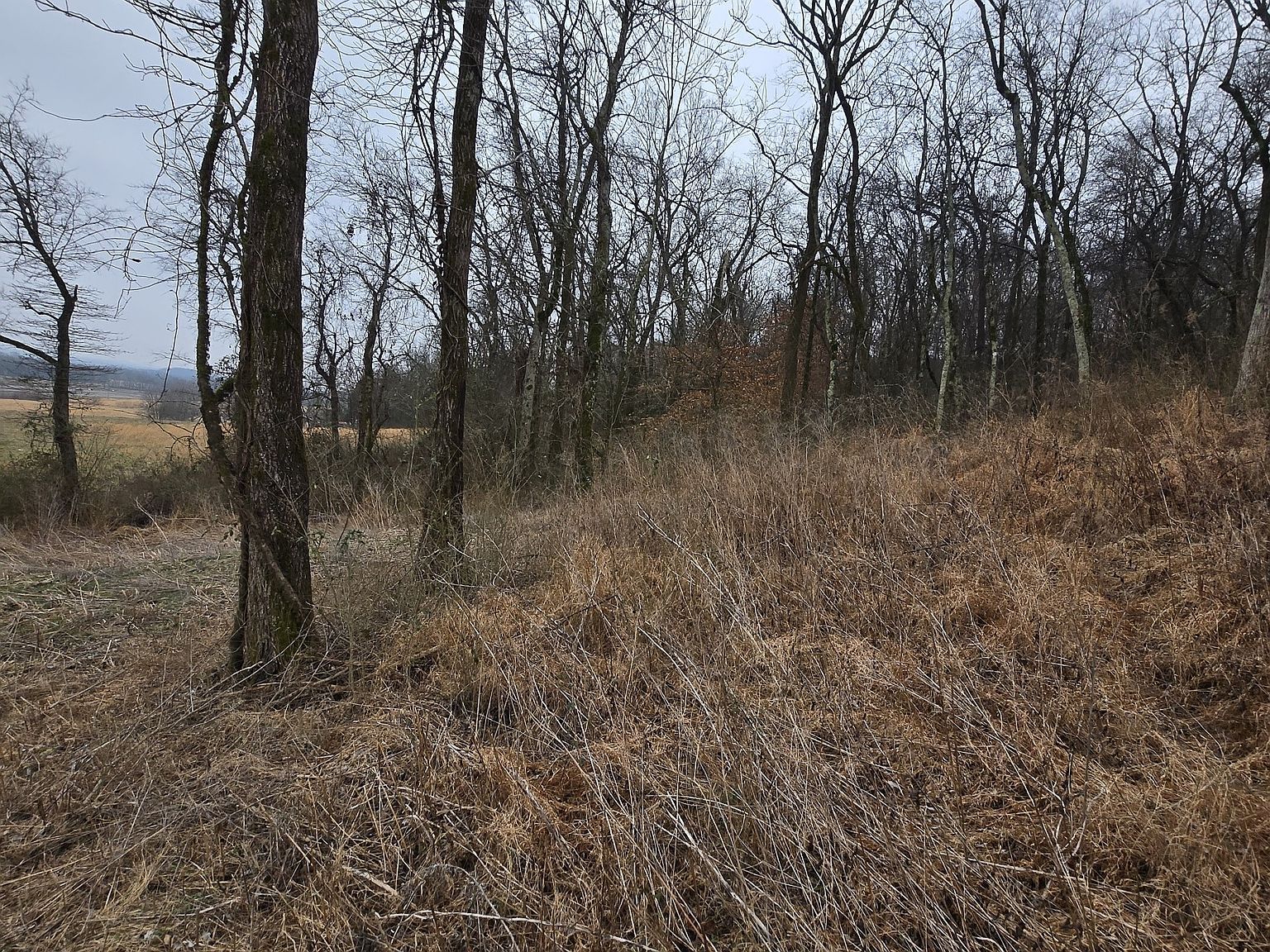 22241 Highway 64 W Pulaski, TN 38478 - Thumbnail 5