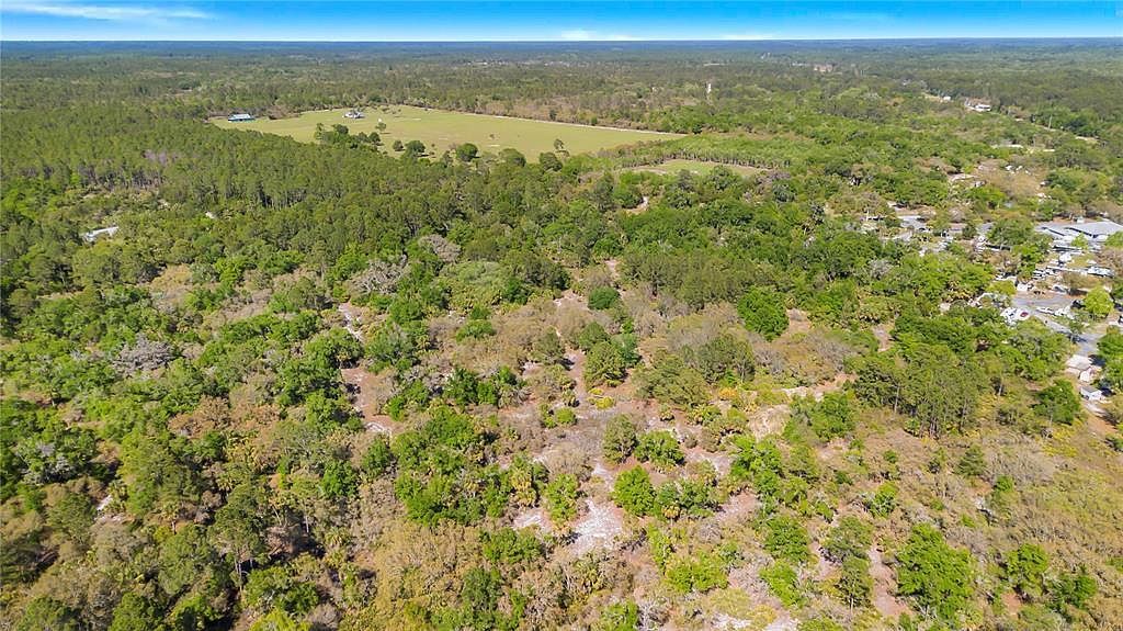 12050 SW Shiloh Rd Cedar Key, FL 32625 - Thumbnail 5