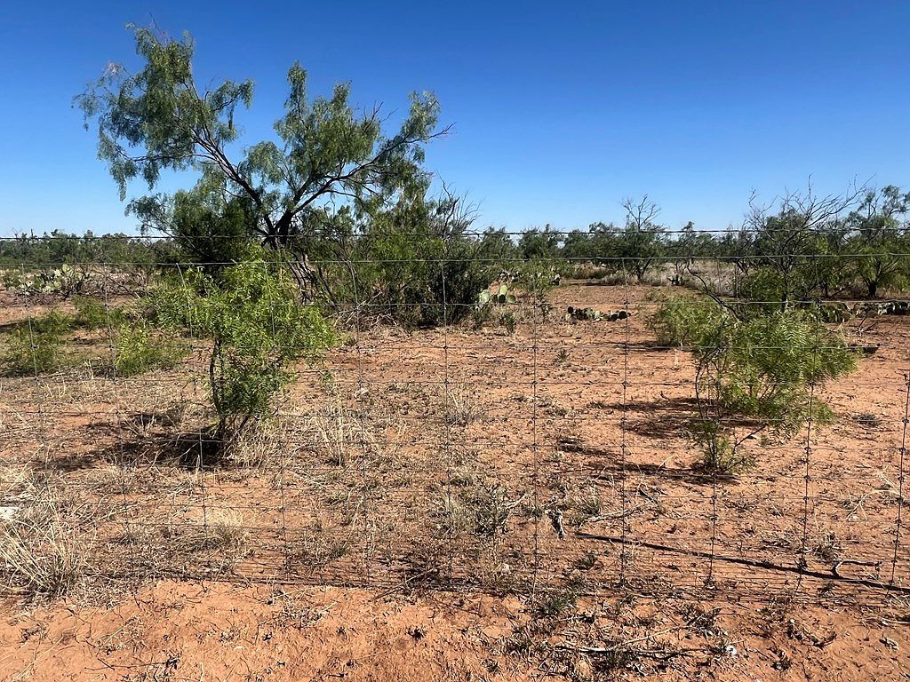 0 E Moss Lake Rd Big Spring, TX 79720 - Thumbnail 5