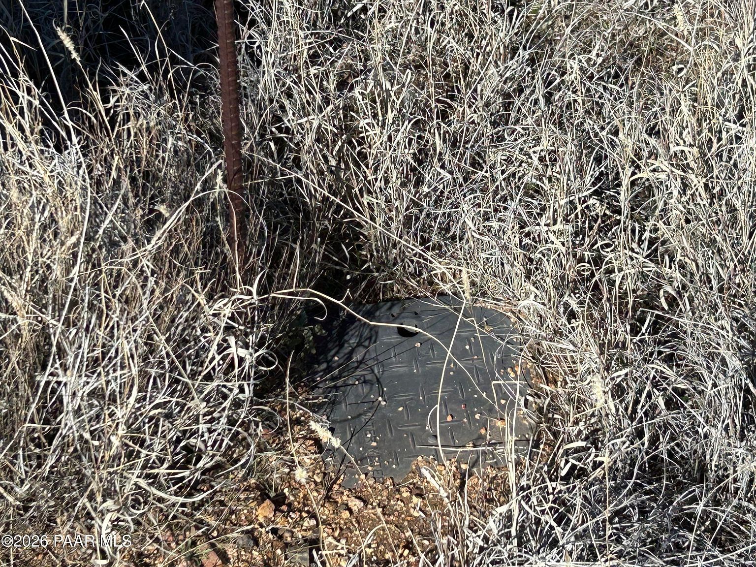 17327 S Rocky Boy Way Peeples Valley, AZ 86332 - Thumbnail 5