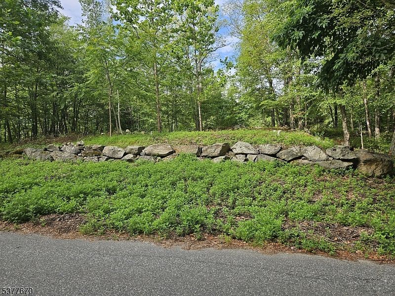 15 Lakeside Dr Sussex, NJ 07461 - Thumbnail 5