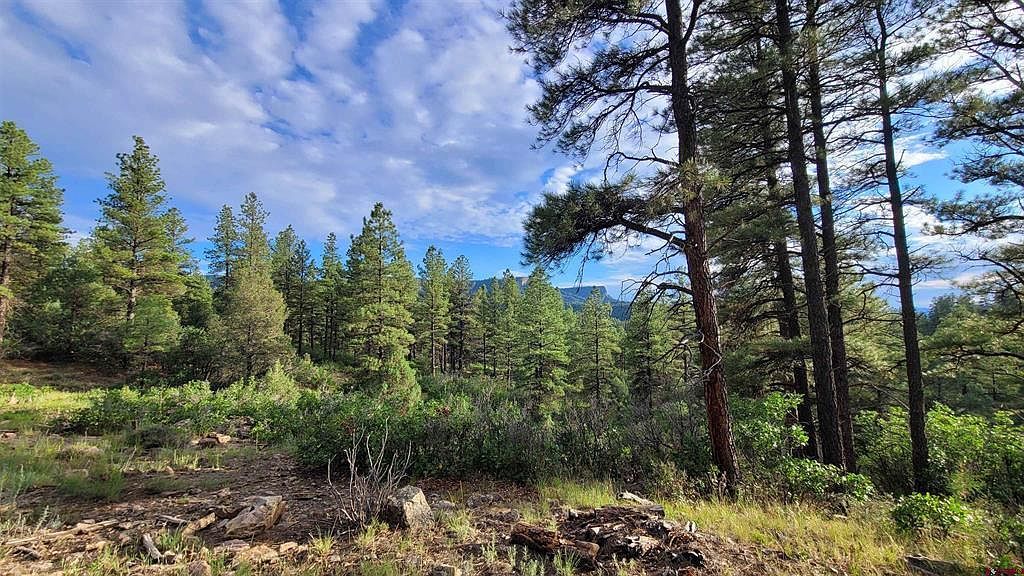 814 Ginger Cir Pagosa Springs, CO 81147 - Thumbnail 5