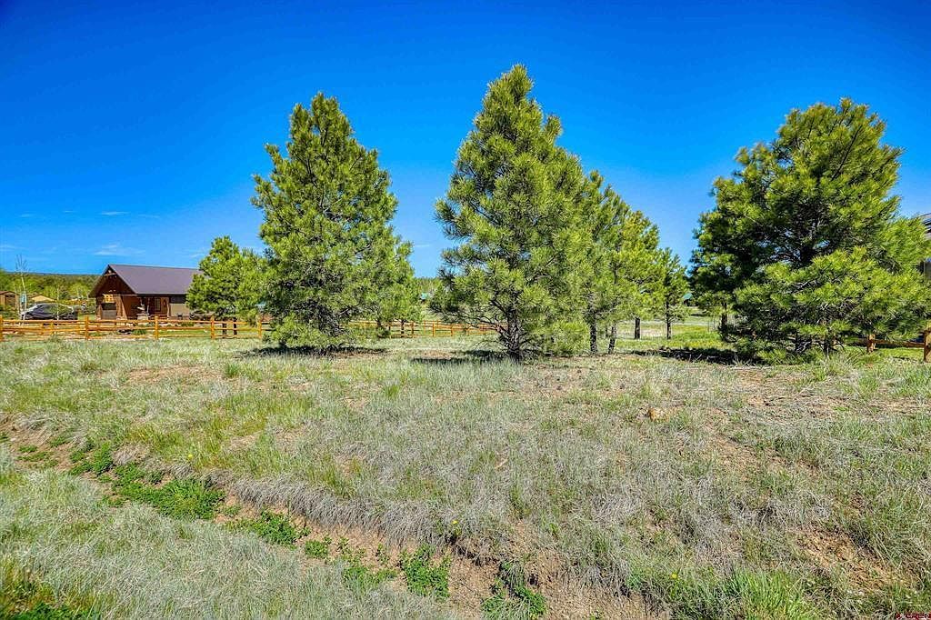 35 Carpin Cir Pagosa Springs, CO 81147 - Thumbnail 5