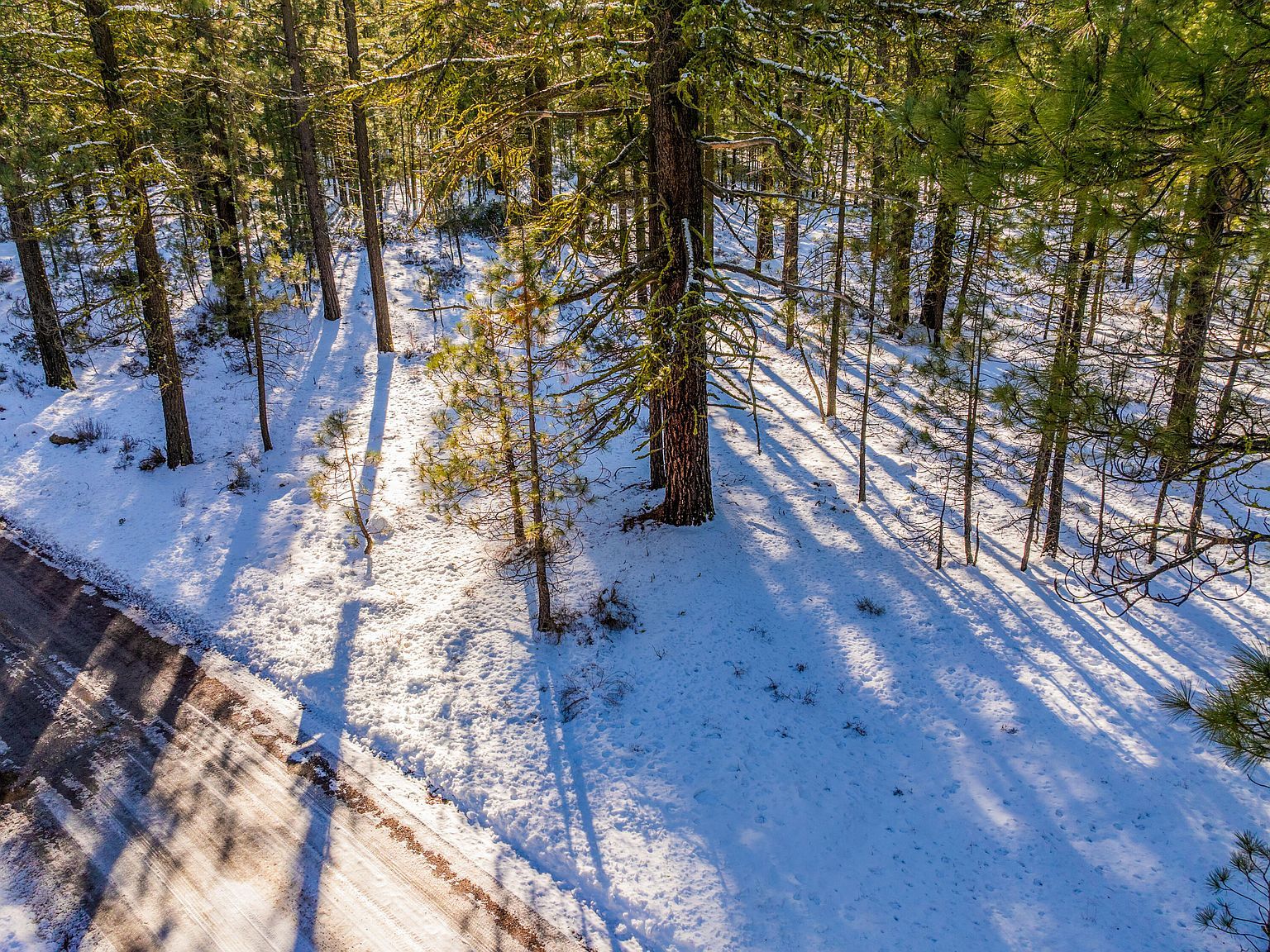 Big Springs Blvd Old Station, CA 96071 - Thumbnail 5