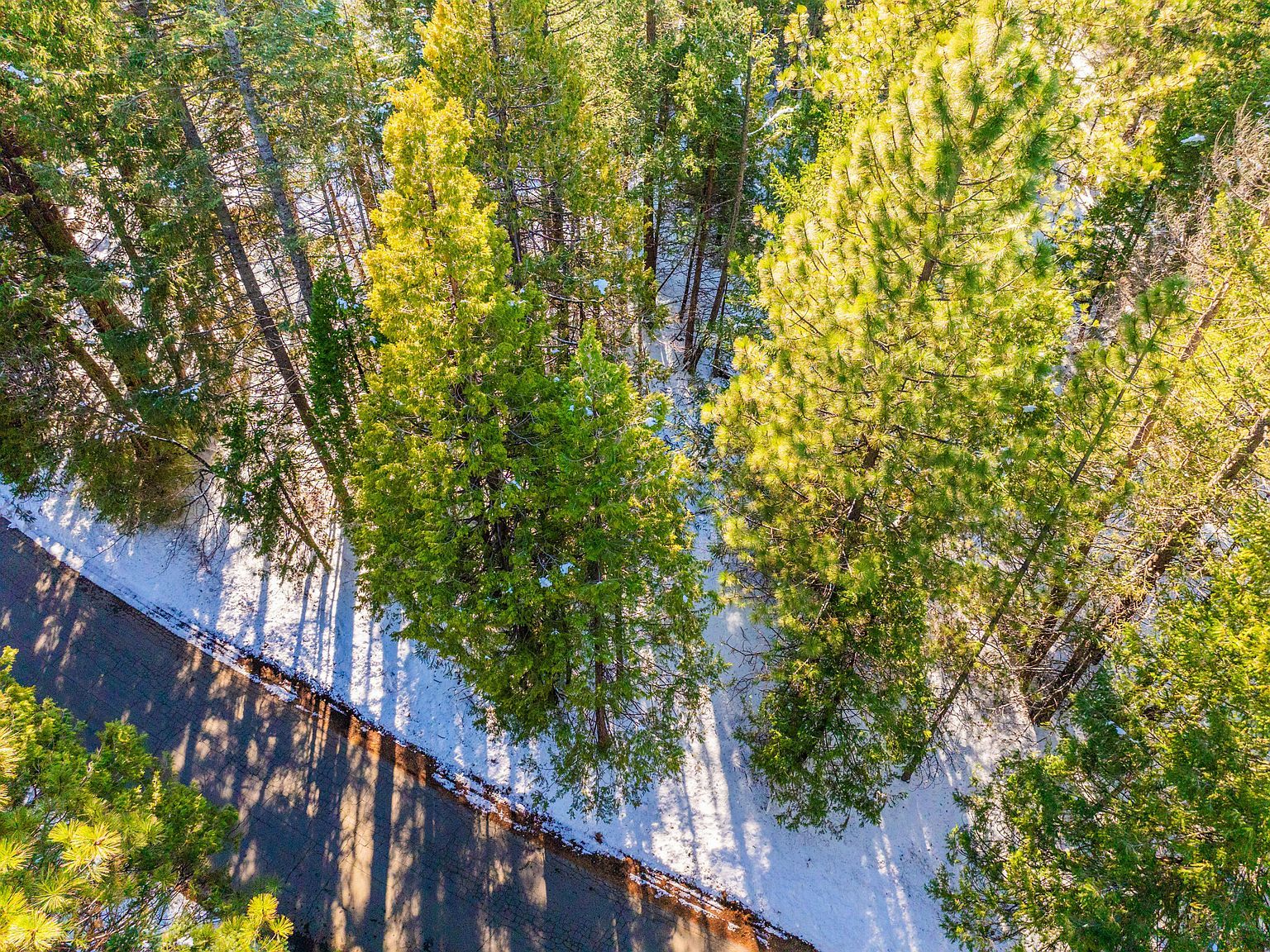 Ritts Mill Rd Shingletown, CA 96088 - Thumbnail 5