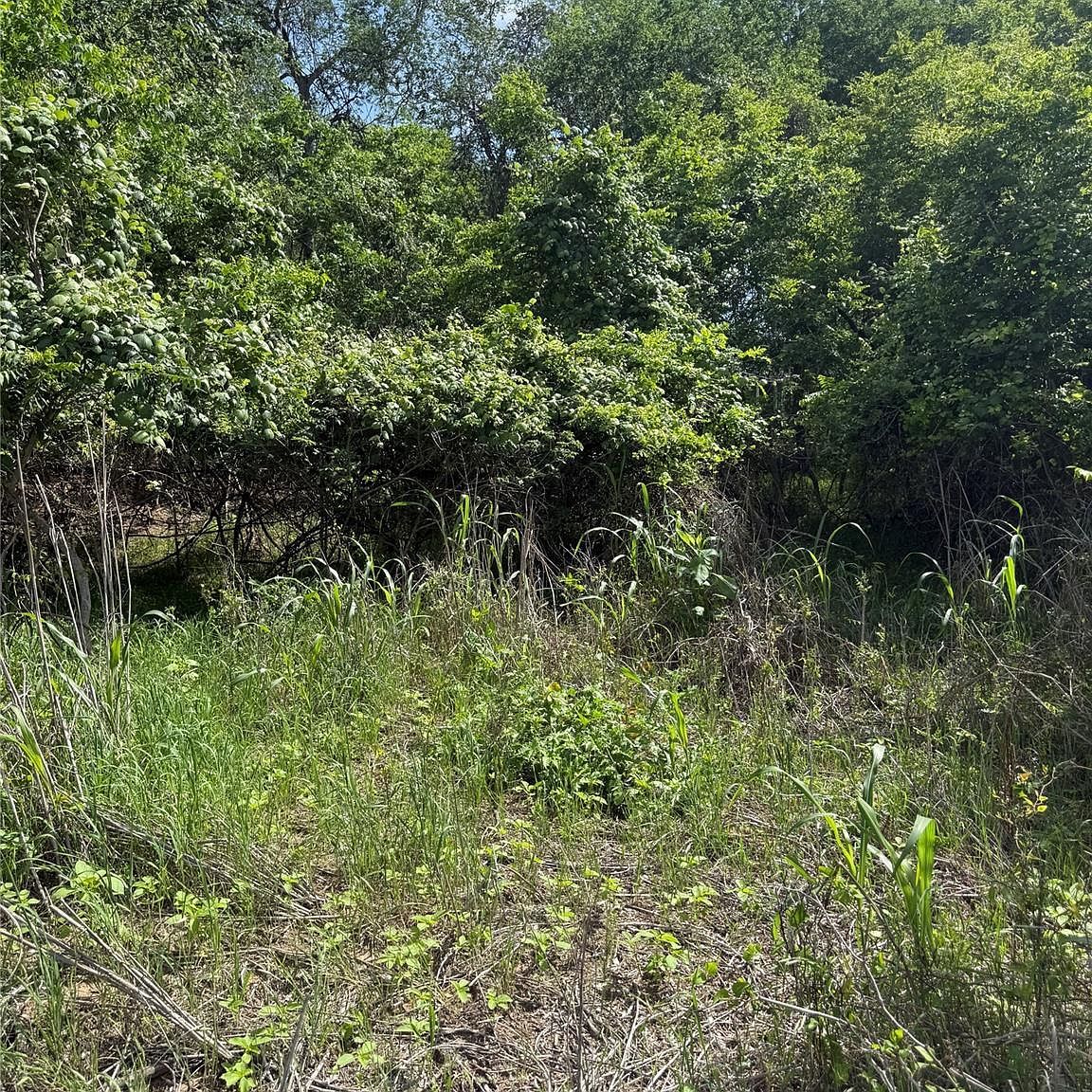 959 E Riverside Dr Bastrop, TX 78602 - Thumbnail 5