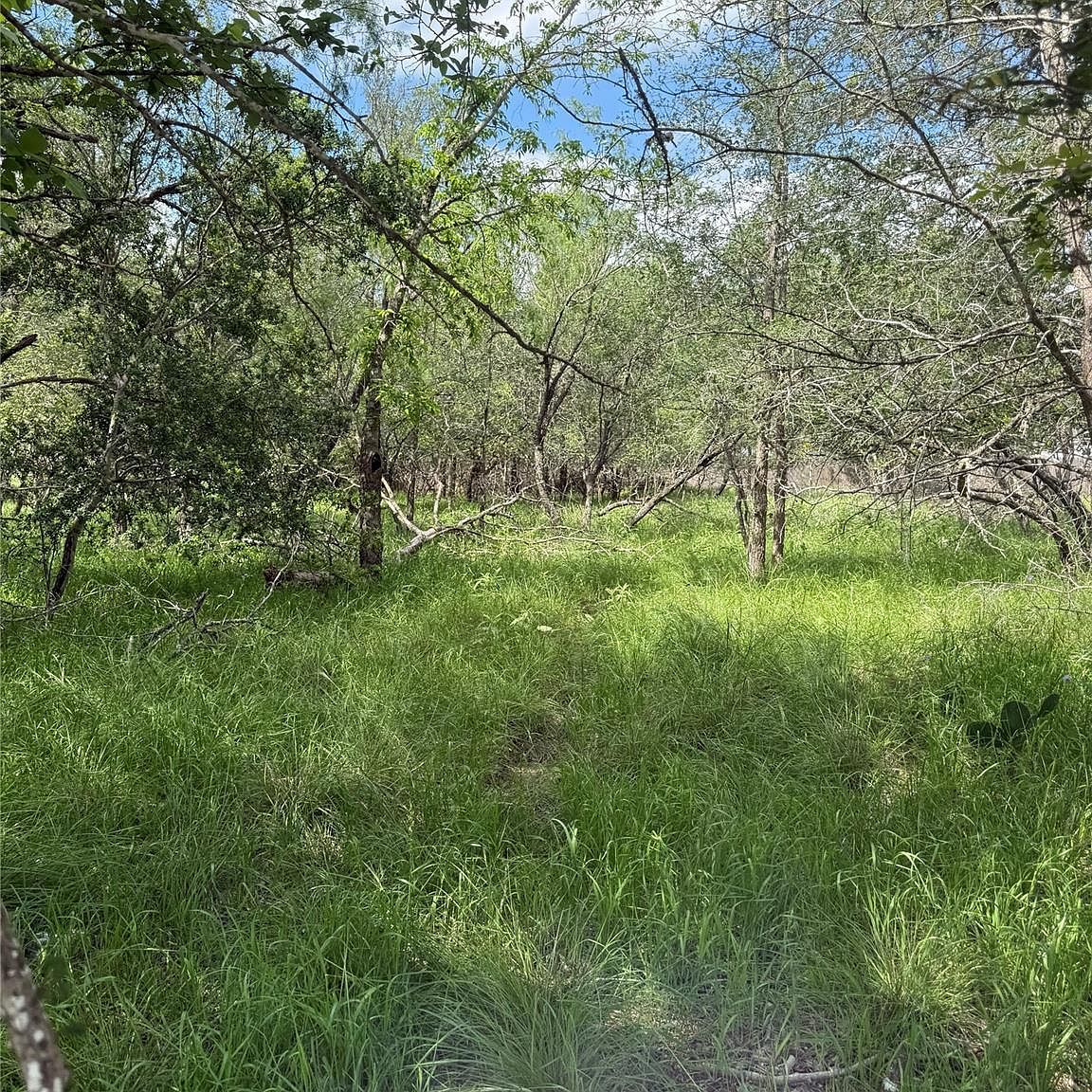 LOT 200 Nene Ln Bastrop, TX 78602 - Thumbnail 5