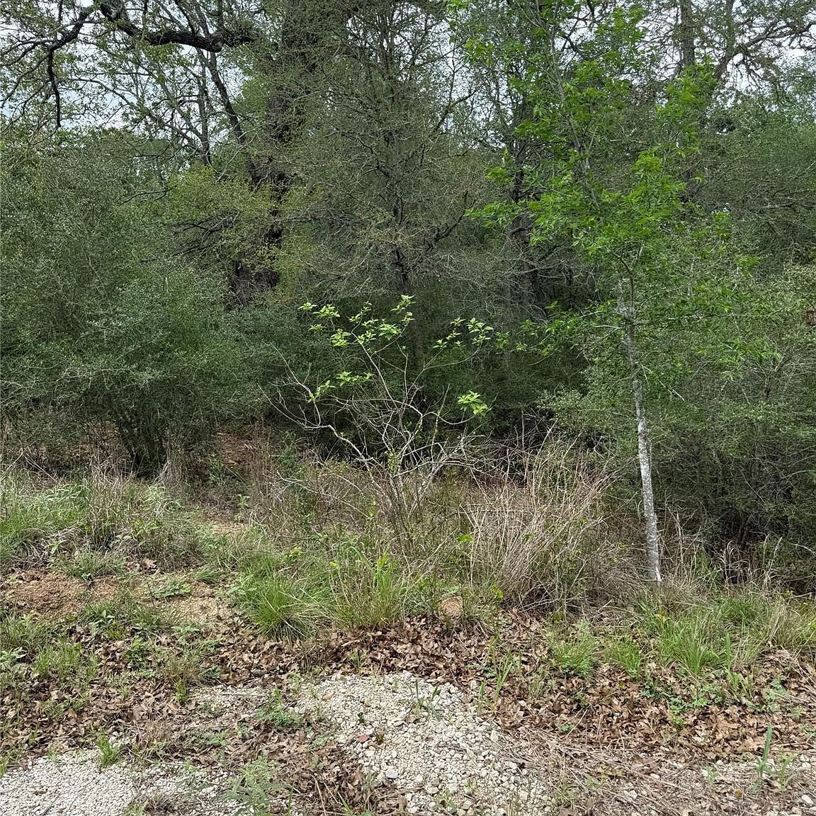 69 Kaelepulu Dr Bastrop, TX 78602 - Thumbnail 5