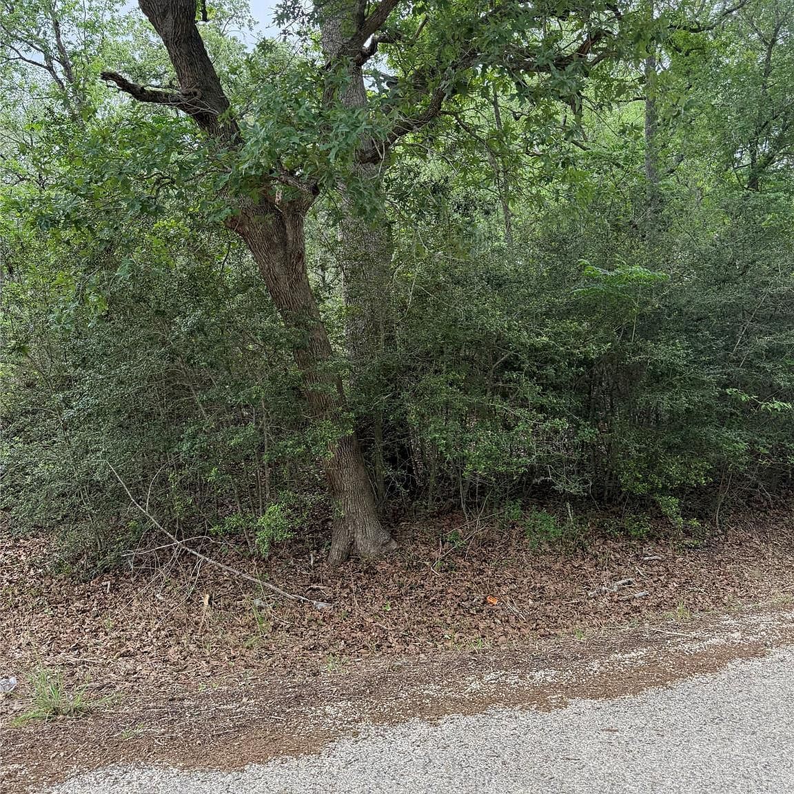 70 Kaelepulu Dr Bastrop, TX 78602 - Thumbnail 5