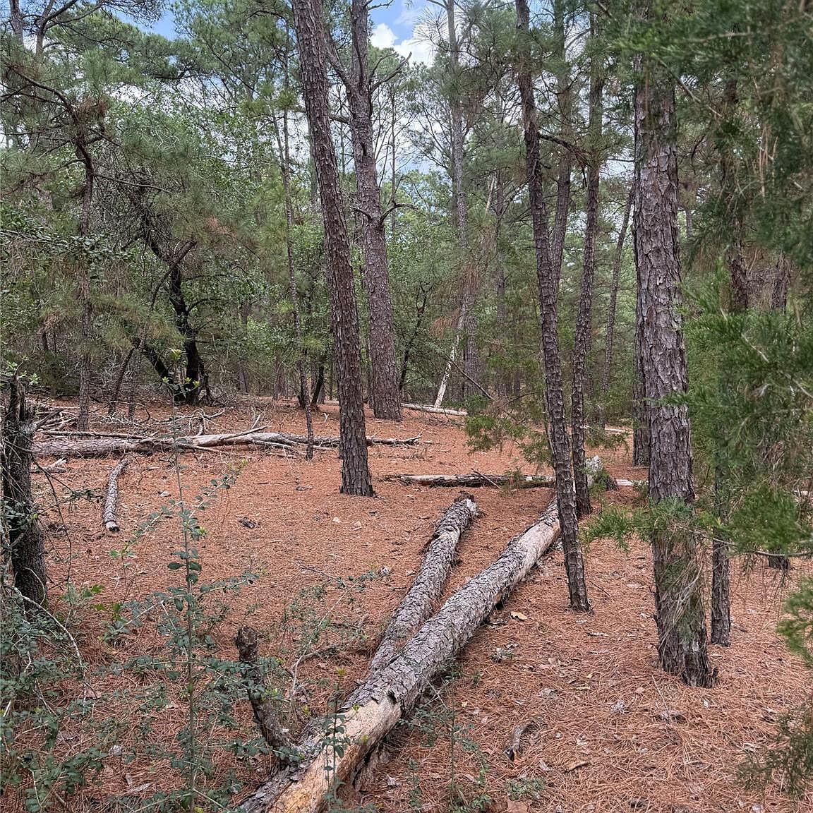 LOT 35 Tanglewood Dr Bastrop, TX 78602 - Thumbnail 5