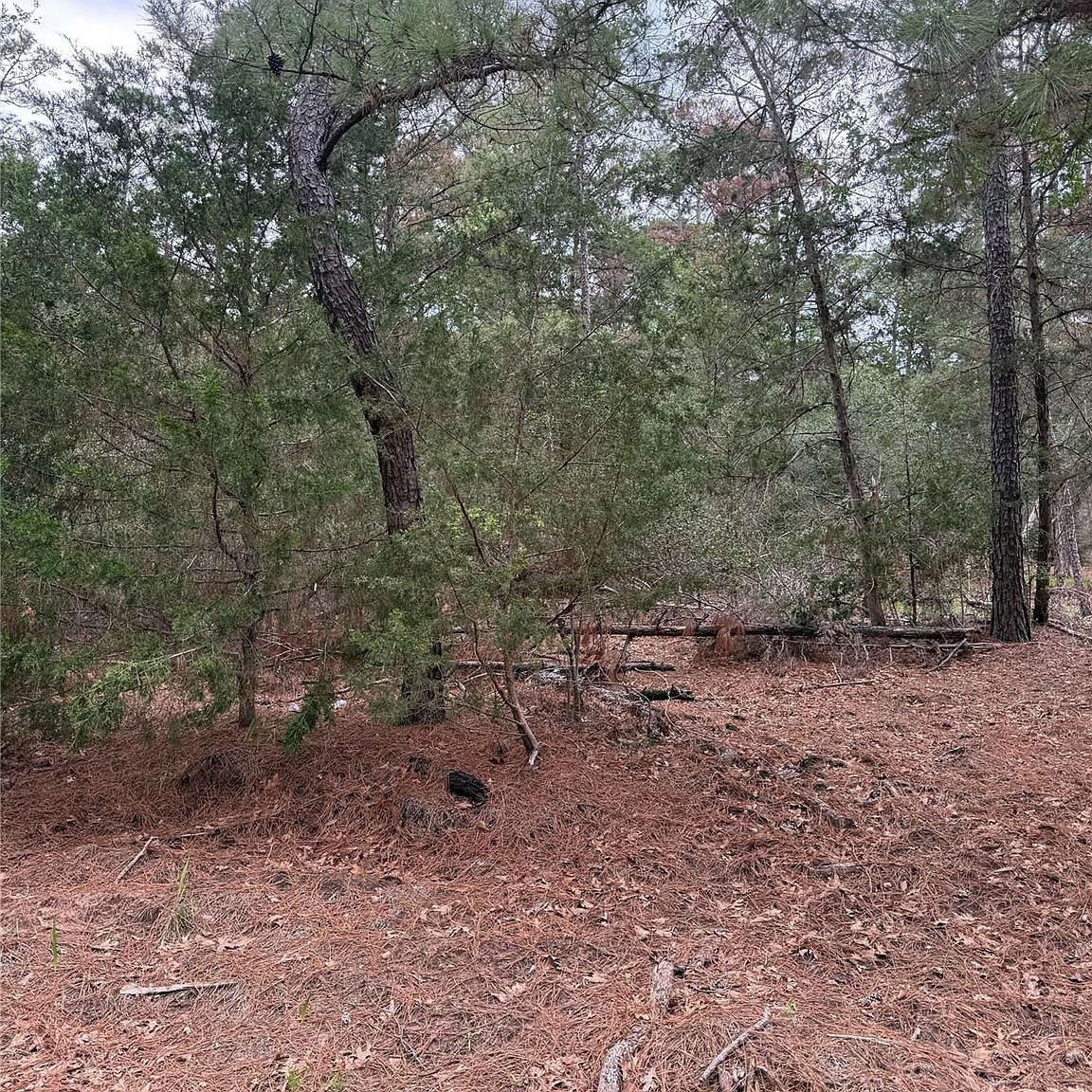 1428 Keaau Ct Bastrop, TX 78602 - Thumbnail 5