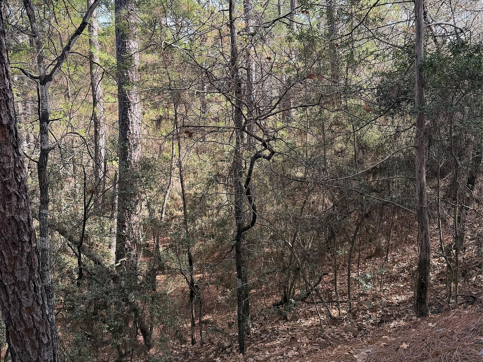 LOT 266 Wainee Dr Bastrop, TX 78602 - Thumbnail 5