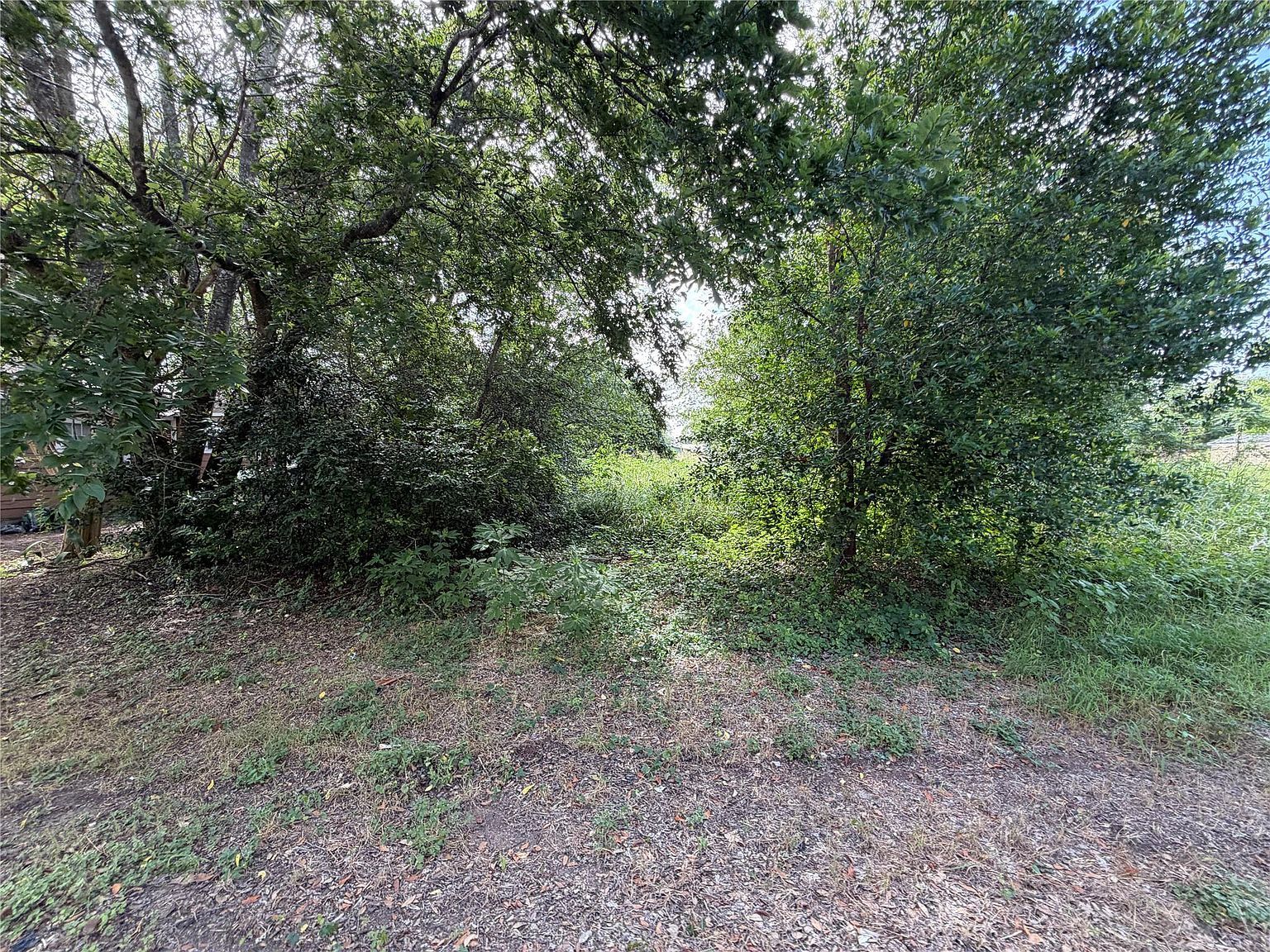 305 Ross St Smithville, TX 78957 - Thumbnail 5