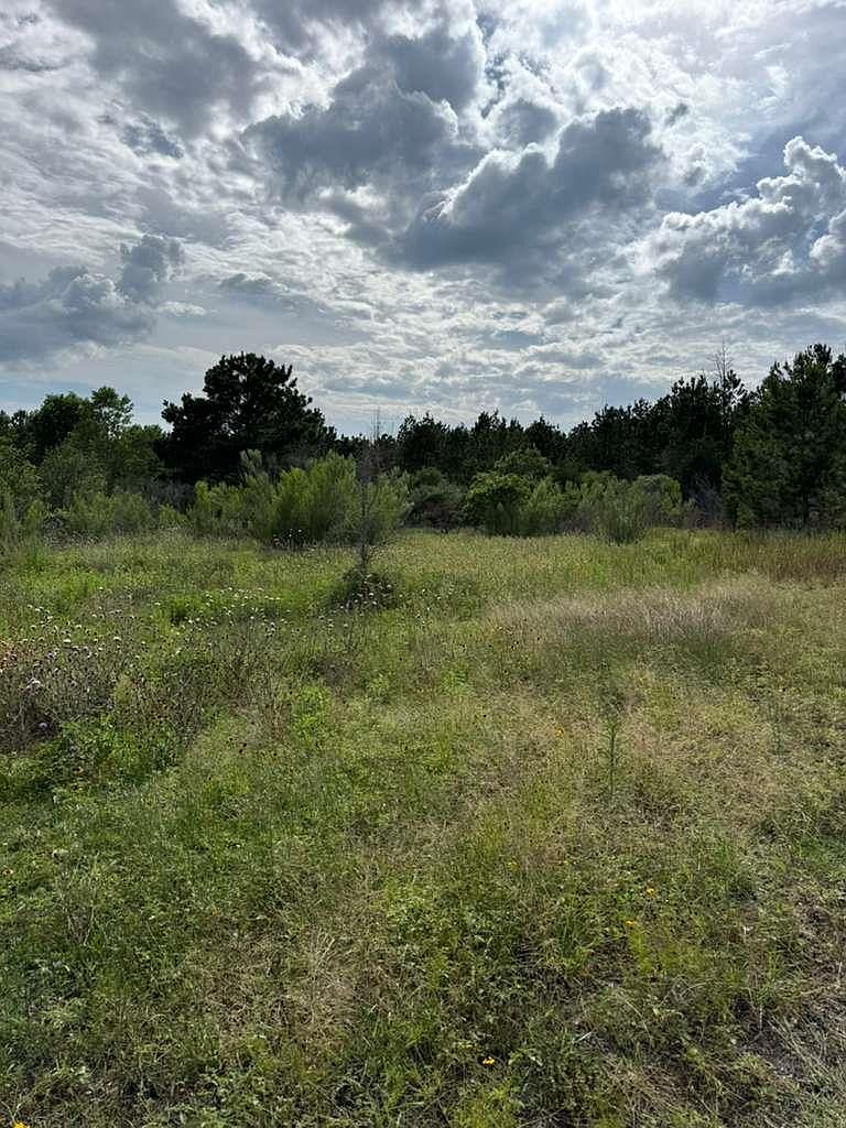 109 Pintail Ln Paige, TX 78659 - Thumbnail 5