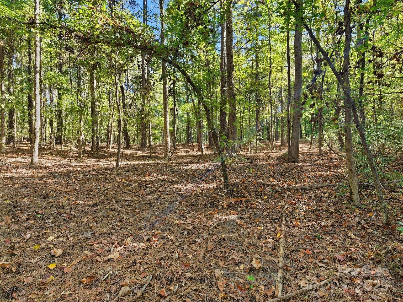 0 Rehobeth Rd Waxhaw, NC 28173 - Thumbnail 5