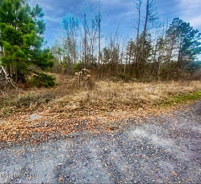 1178 Stump Ridge Rd Brandon, MS 39047 - Thumbnail 5