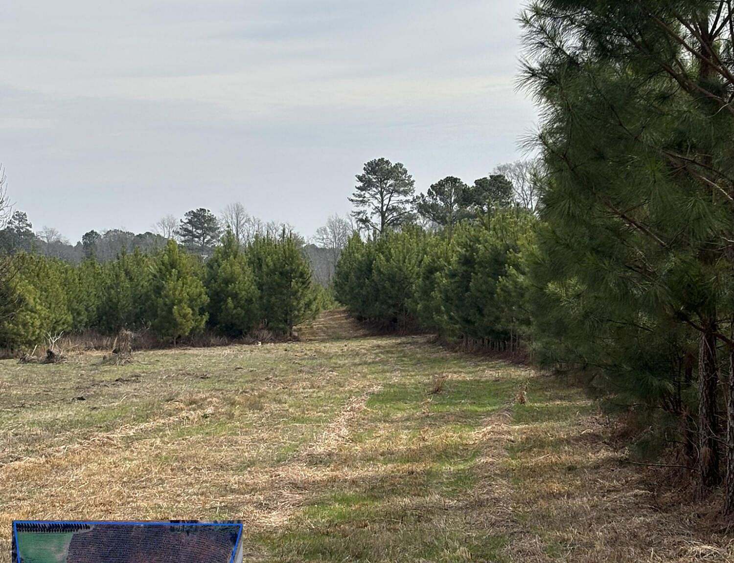 3120 Savannah Hwy North, SC 29112 - Thumbnail 5