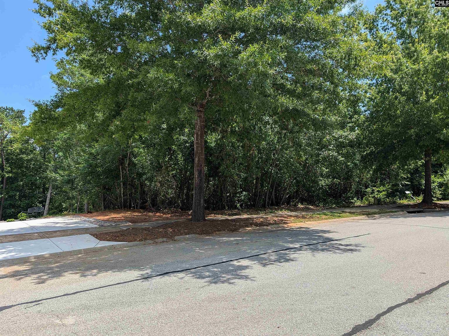 1060 Coogler Crossing Dr Blythewood, SC 29016 - Thumbnail 5
