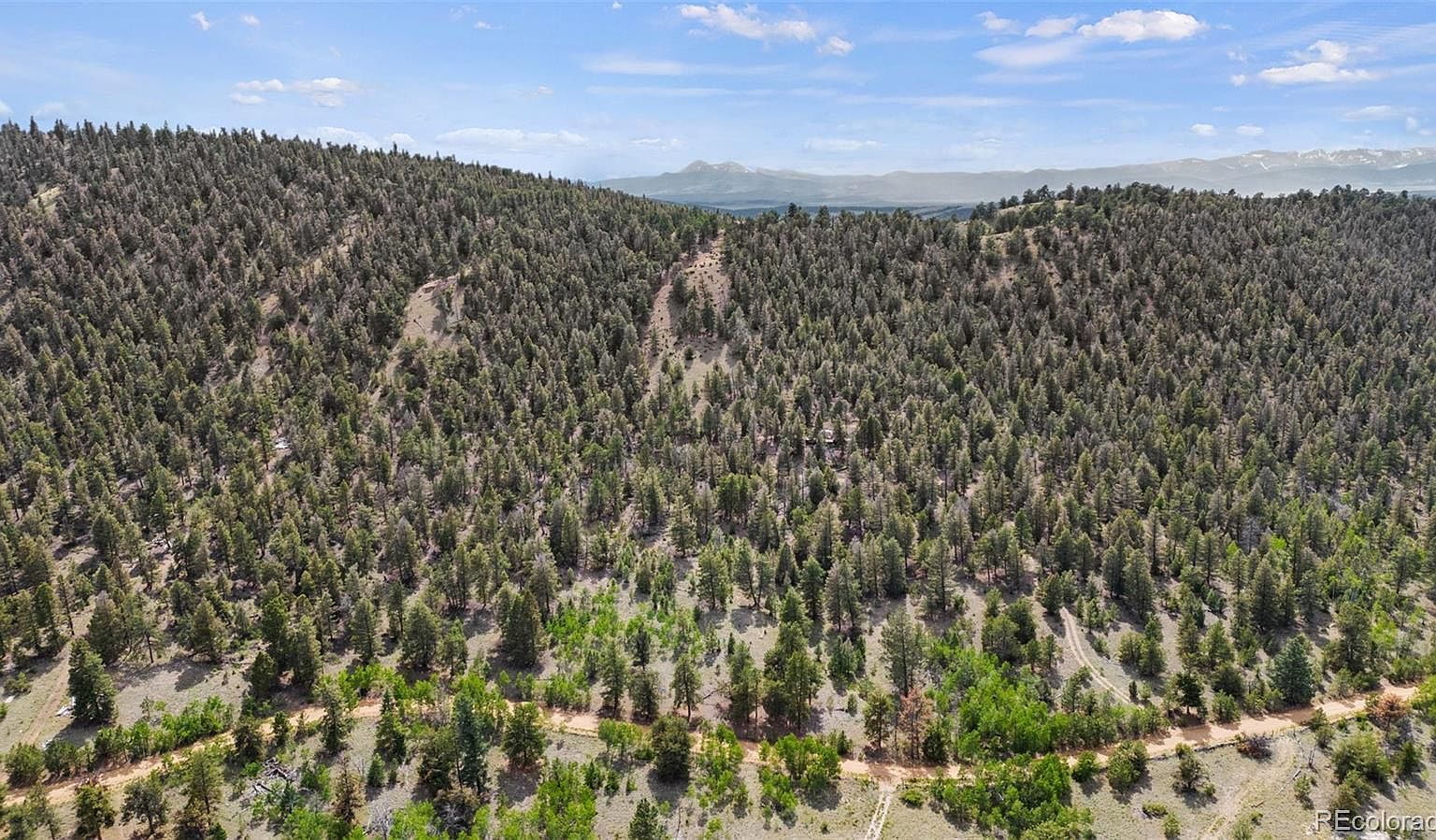 1833 Fitzsimmons Rd Hartsel, CO 80449 - Thumbnail 5