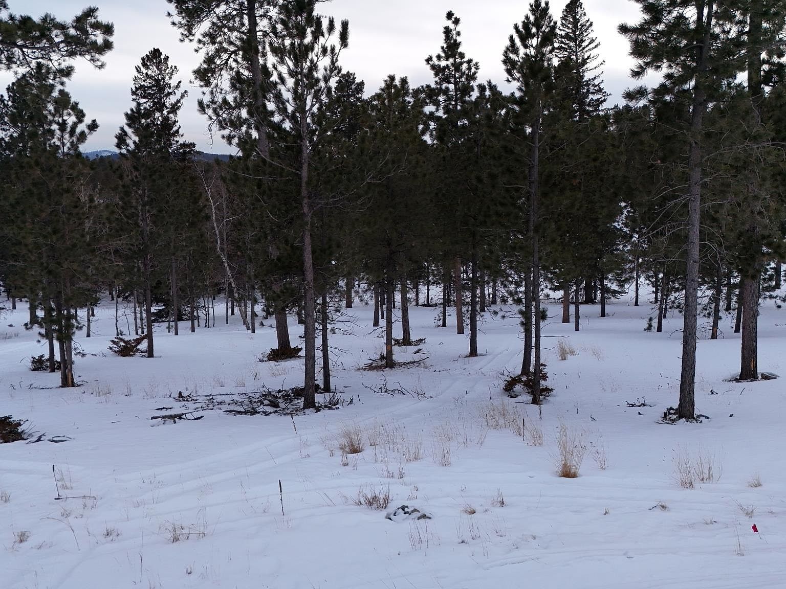 3 Overlook Pass Lead, SD 57754 - Thumbnail 5