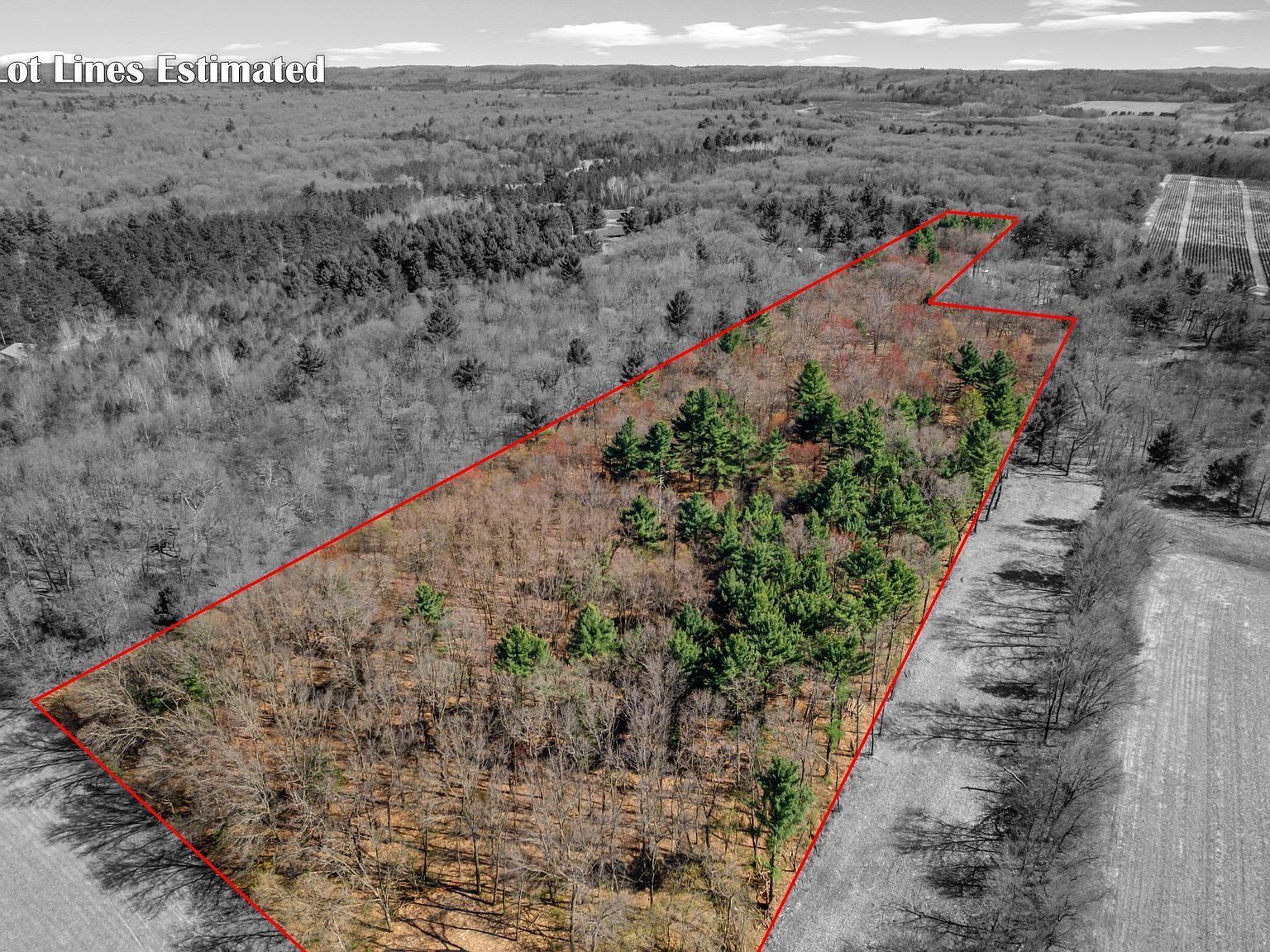 Montgomery Rd Hixton, WI 54635 - Thumbnail 5