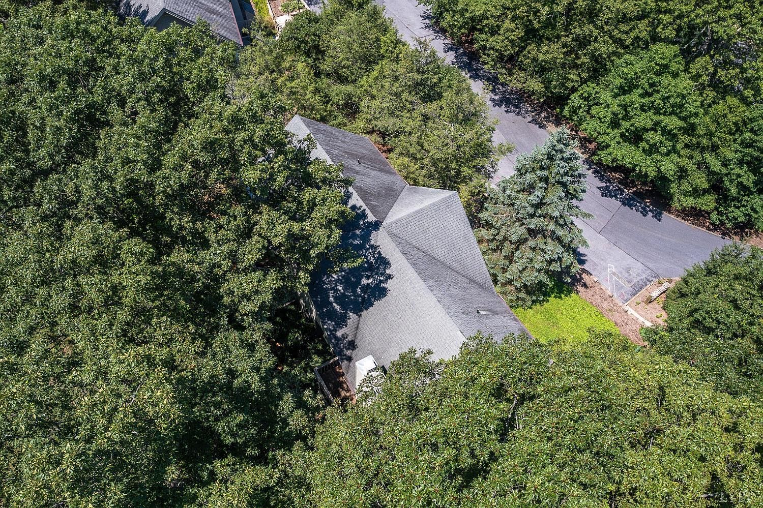 2230 Tanners Rdg Wintergreen Resort, VA 22967 - Thumbnail 5