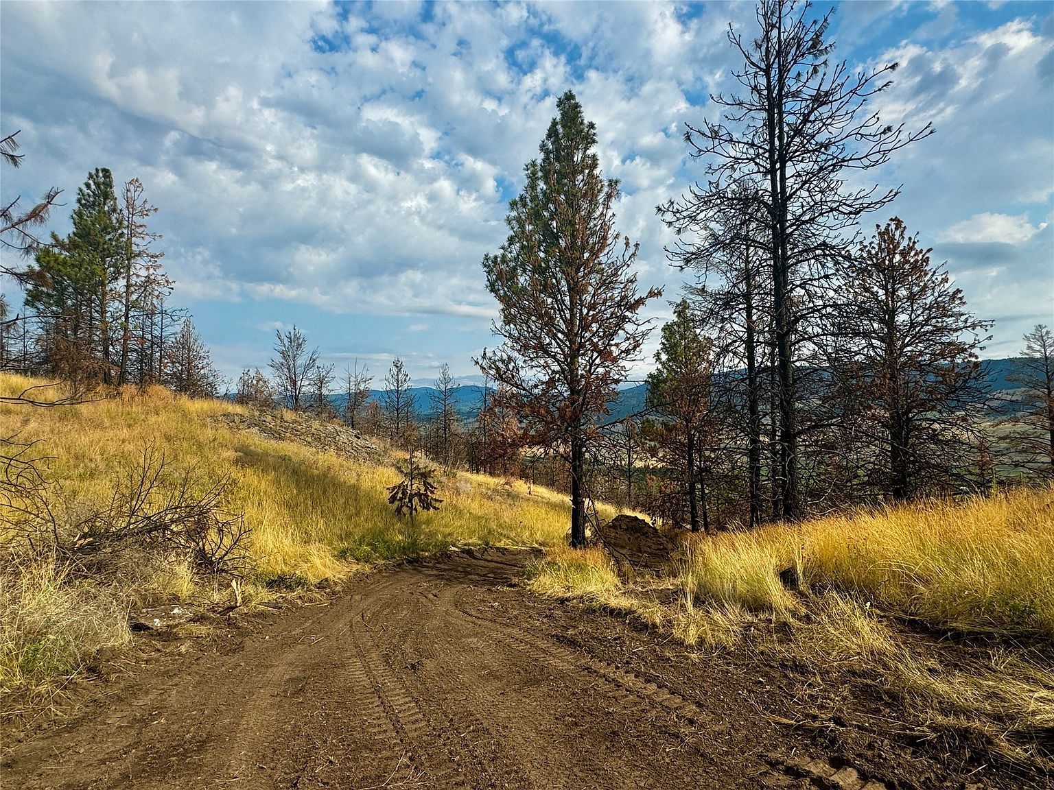 Tbd Chief Cliff Ln Dayton, MT 59914 - Thumbnail 5