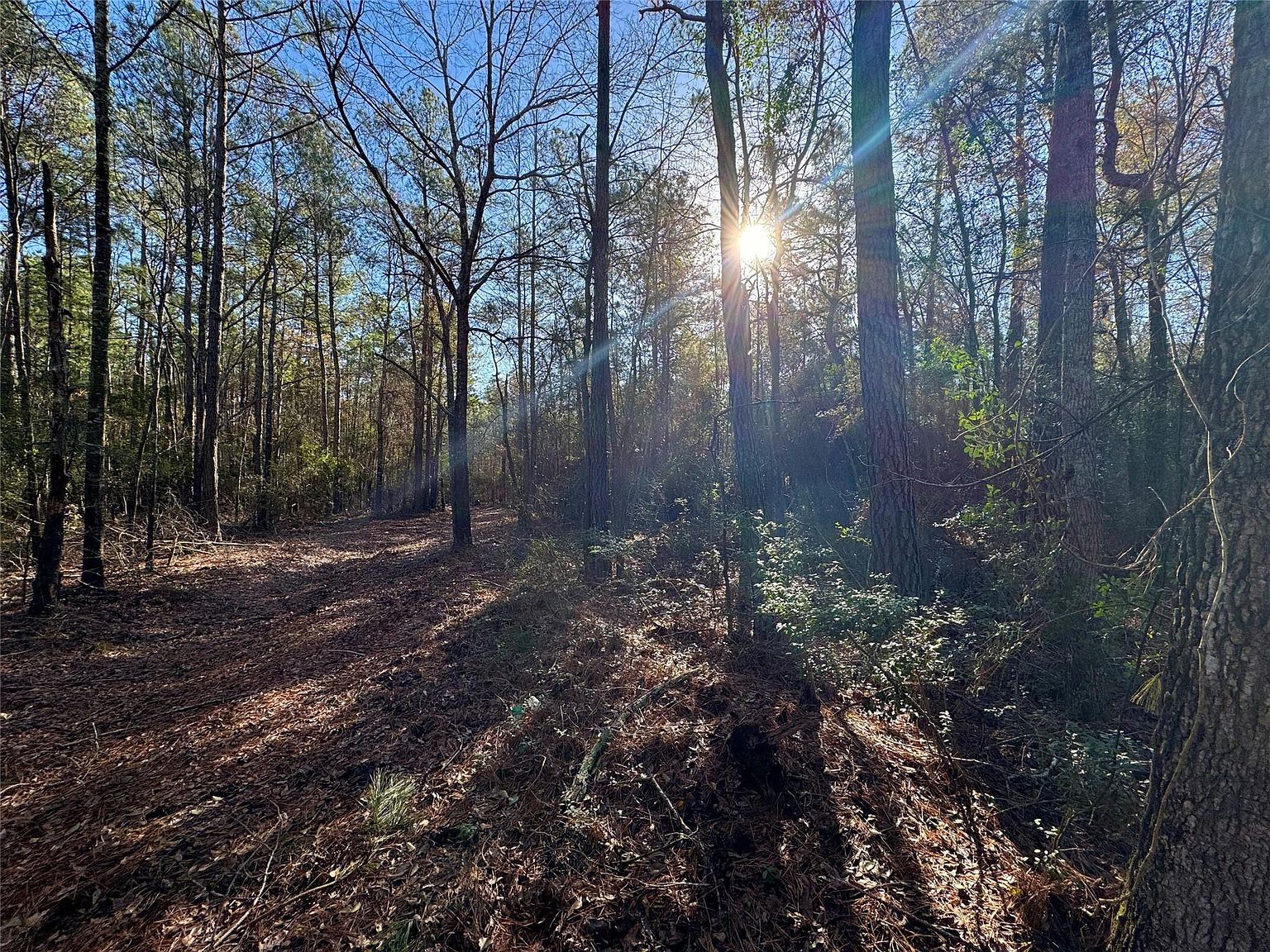 2694 Cr 4020 Crockett, TX 75835 - Thumbnail 5