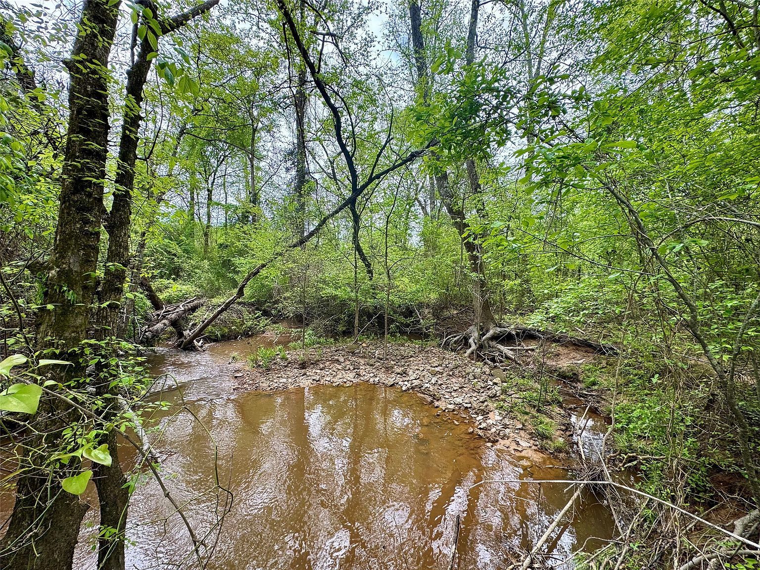 0 County Road 2742 Naples, TX 75568 - Thumbnail 5