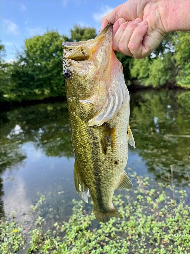 9833 R And R Cir Kemp, TX 75143 - Thumbnail 5