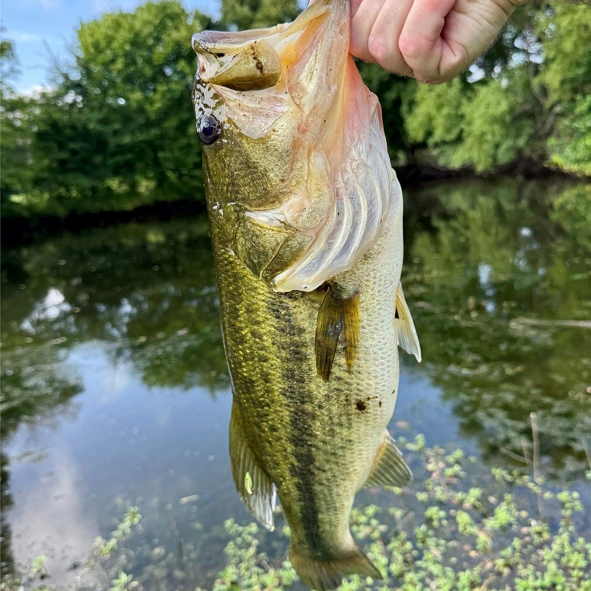 9833 R And R Cir LOT 3 Kemp, TX 75143 - Thumbnail 5