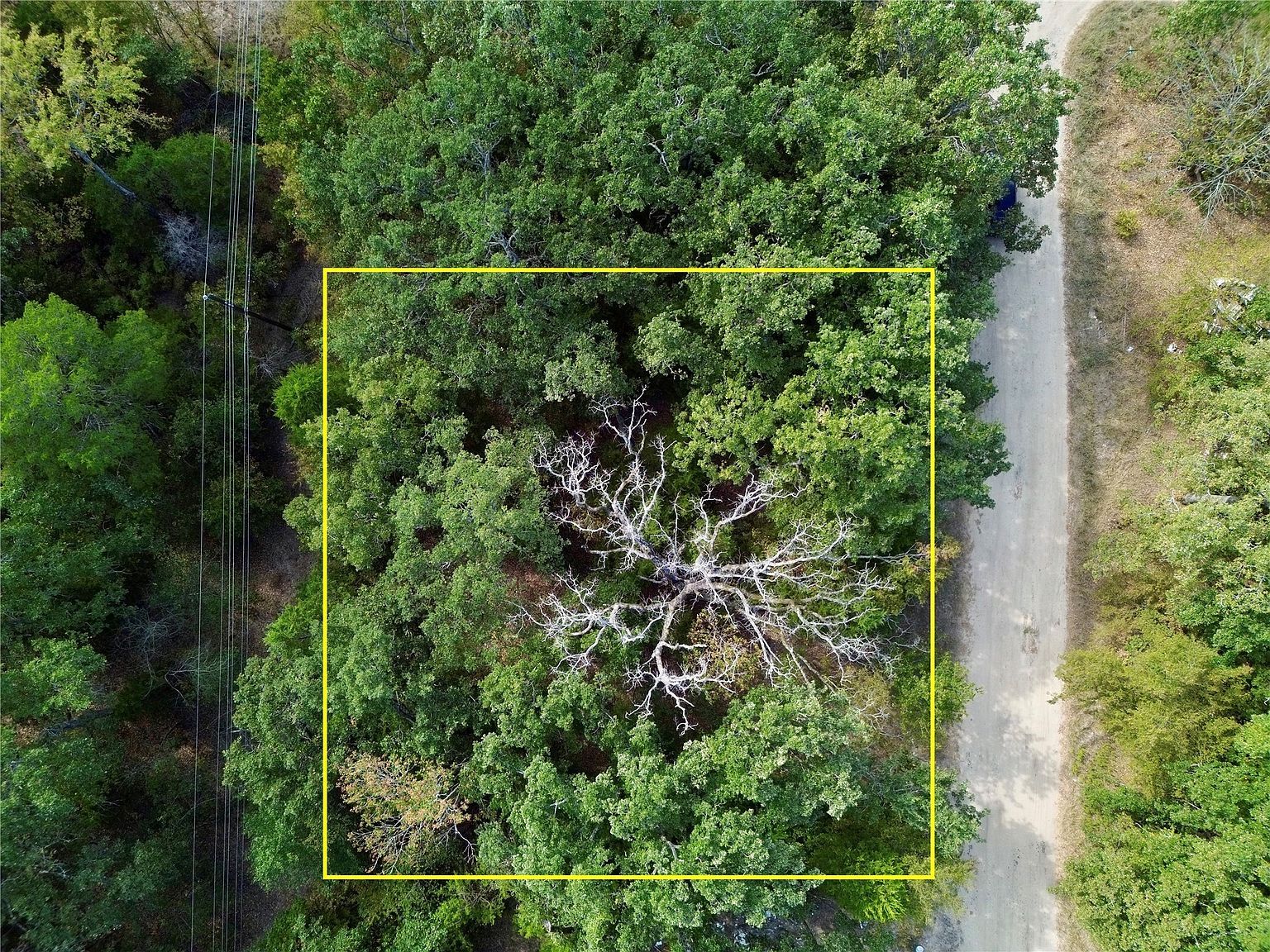 145 Kiowa Dr Mabank, TX 75156 - Thumbnail 5