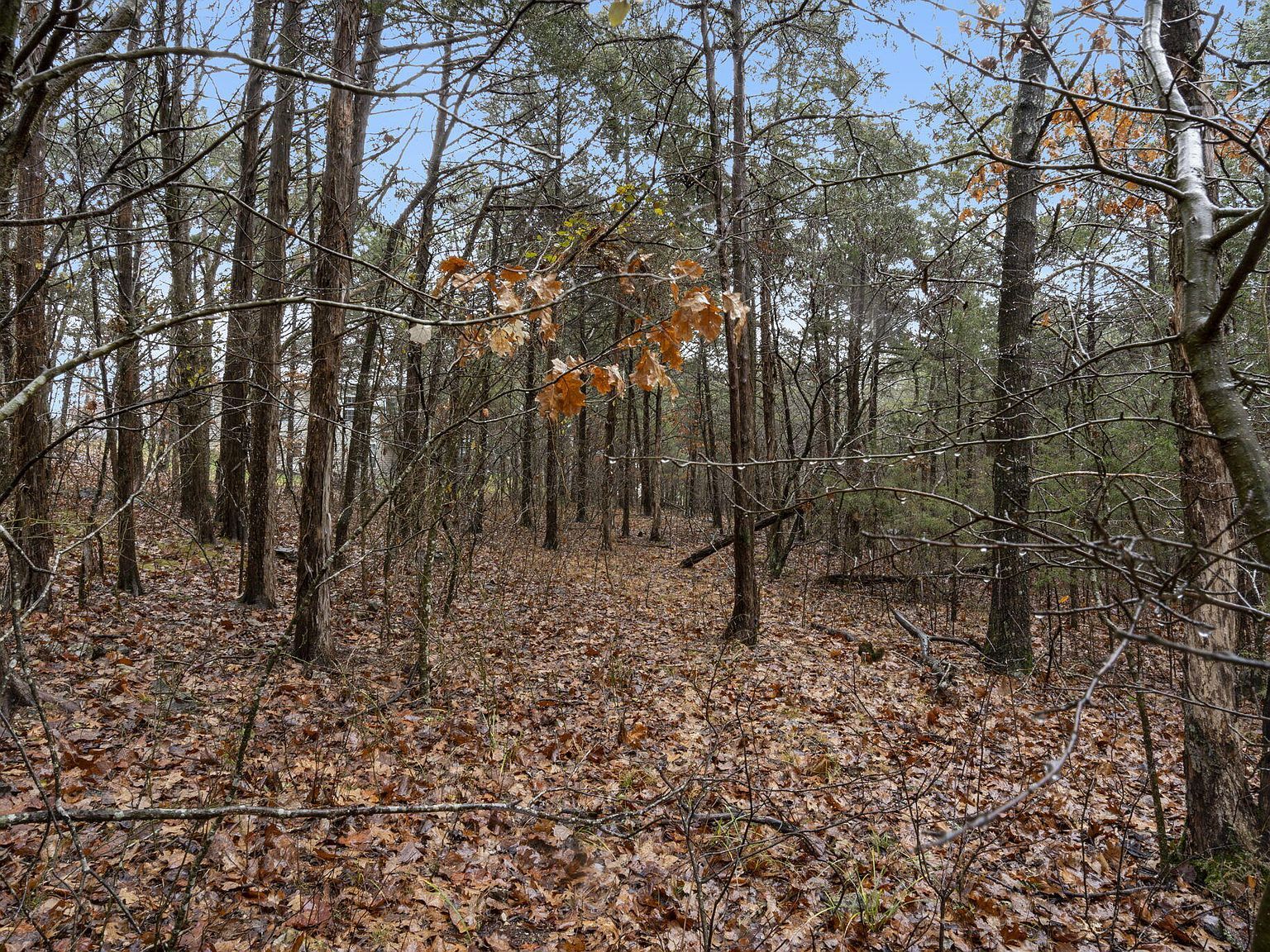 LOT 24 Spring Ct Branson, MO 65616 - Thumbnail 5