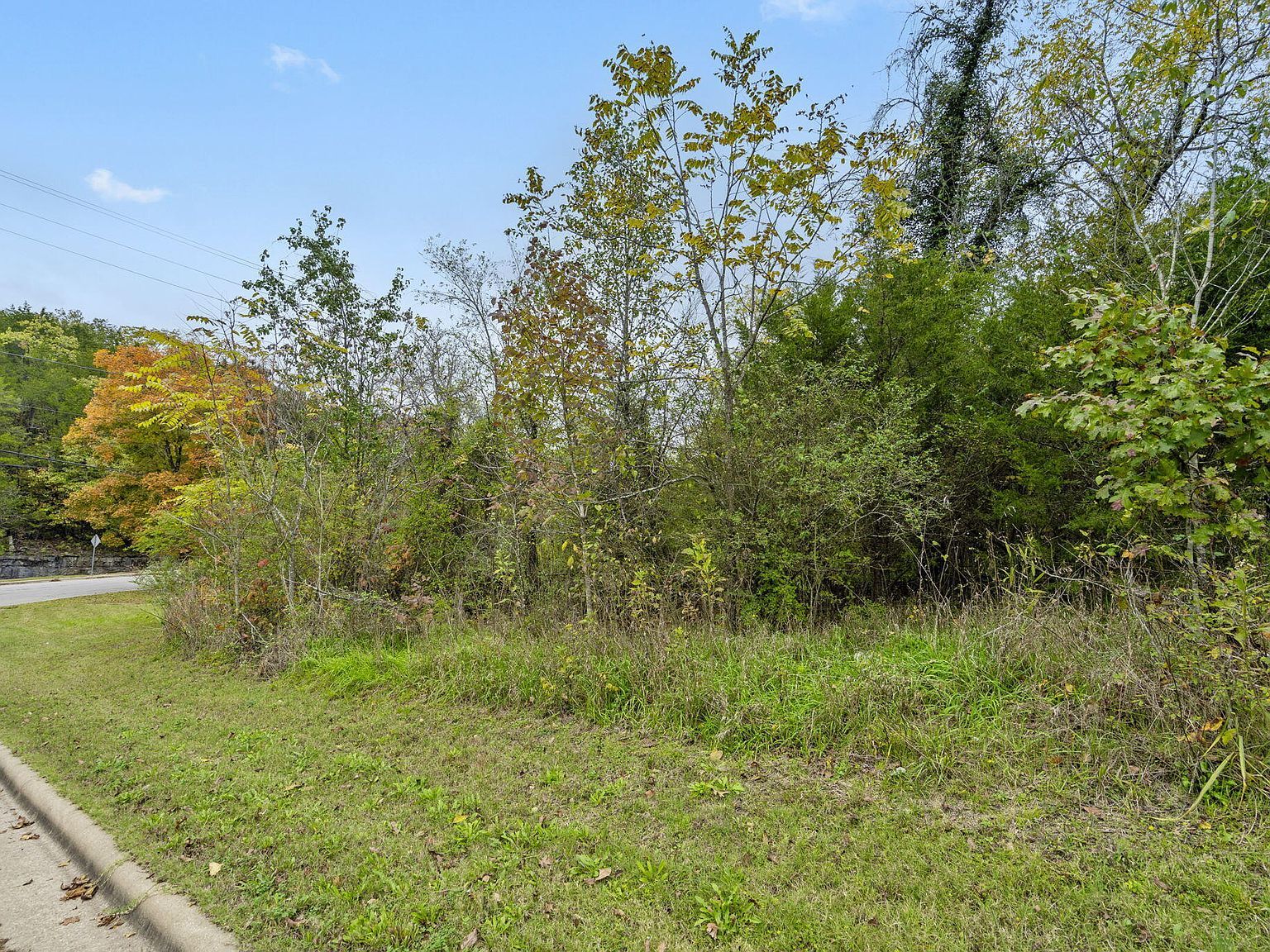 2866 Maple St Hollister, MO 65672 - Thumbnail 5