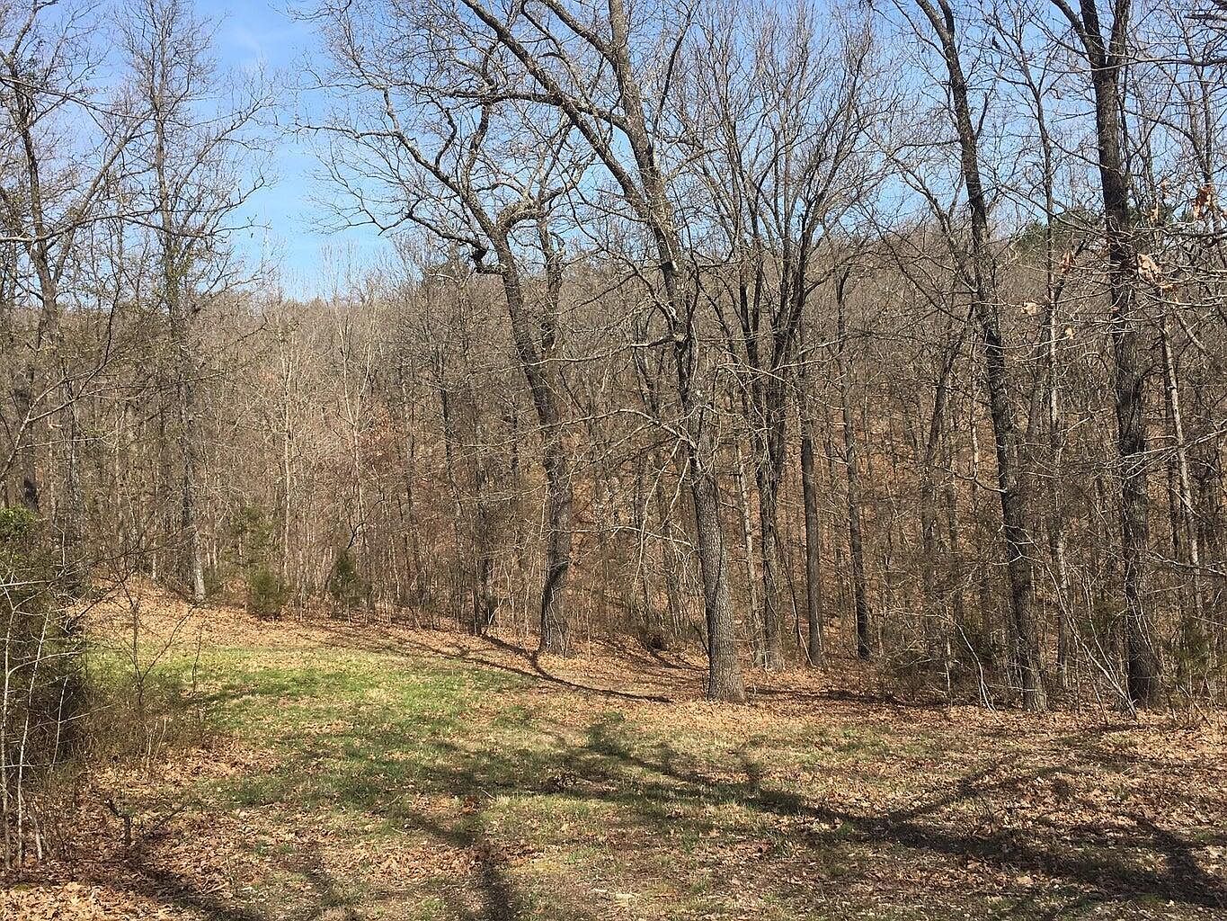 875 Windmill Rd Hollister, MO 65672 - Thumbnail 5