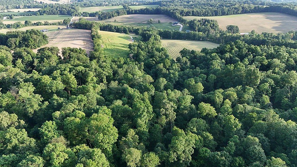 5449 Hagerman Rd Butler, OH 44822 - Thumbnail 5