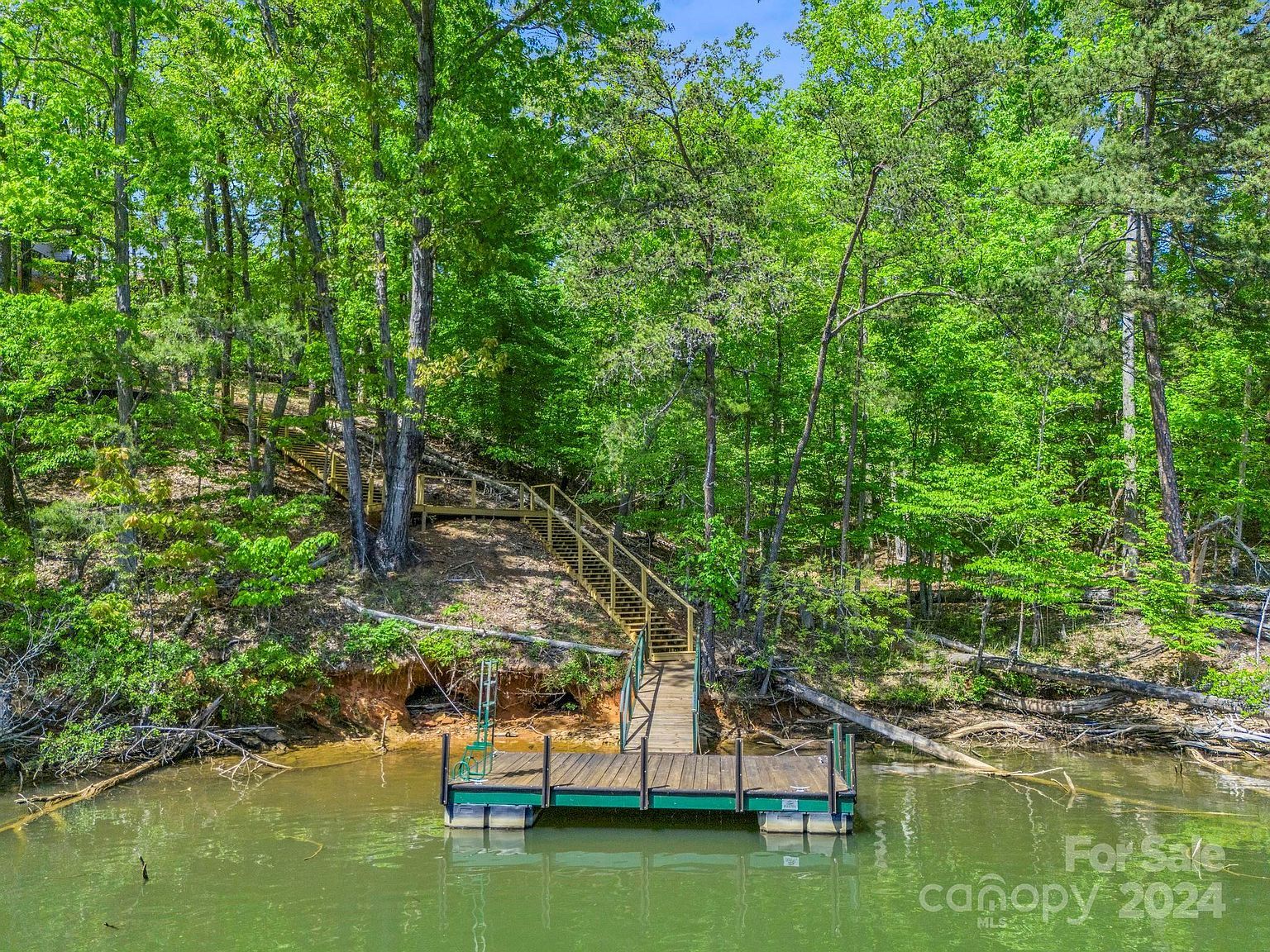 237 N Mountain Ln Mill Spring, NC 28756 - Thumbnail 5