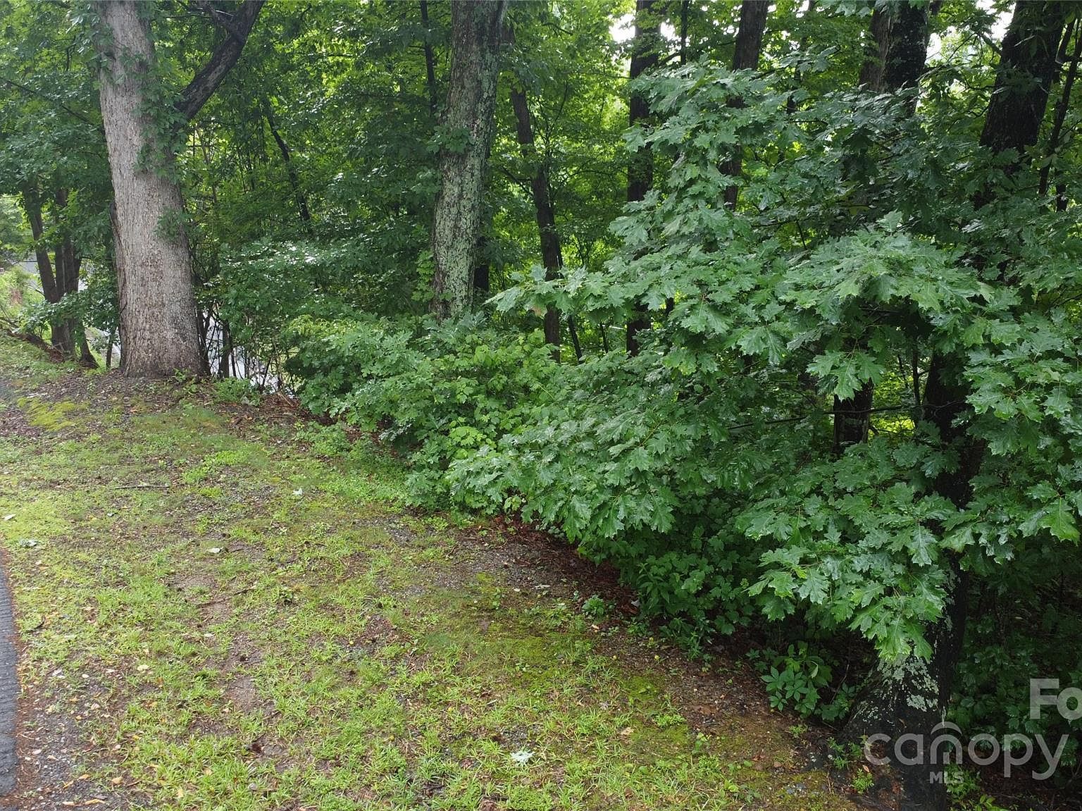 46 Hemlock Trl N Columbus, NC 28722 - Thumbnail 5