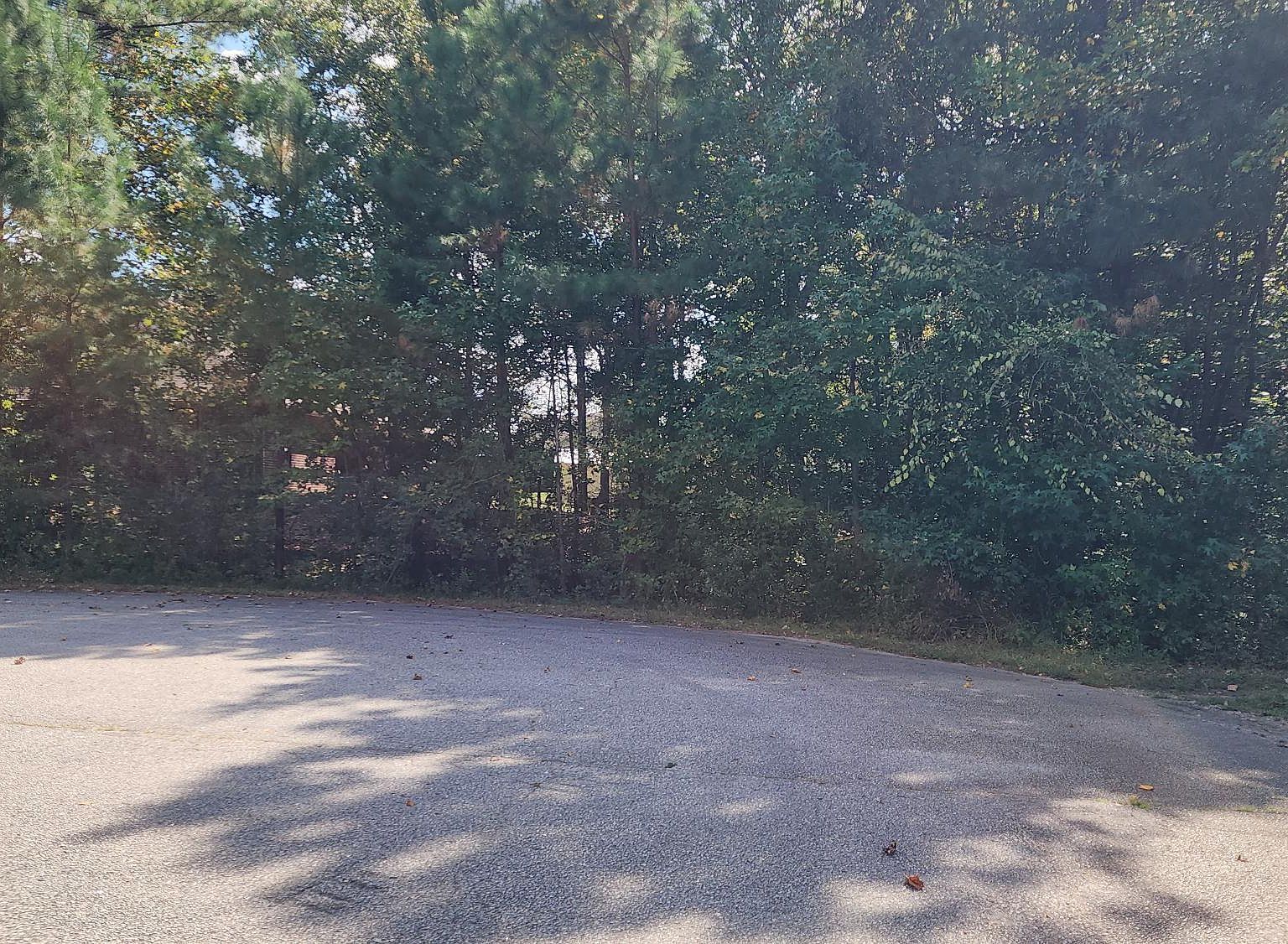 257 Fairhaven Dr LOT 14 Zebulon, NC 27597 - Thumbnail 5